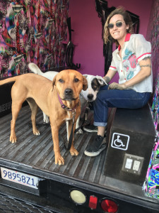 dogs in back of Gas gallery truck