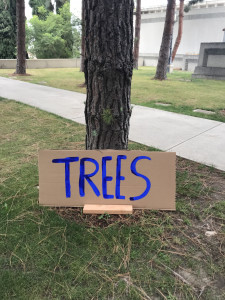Trees, signage